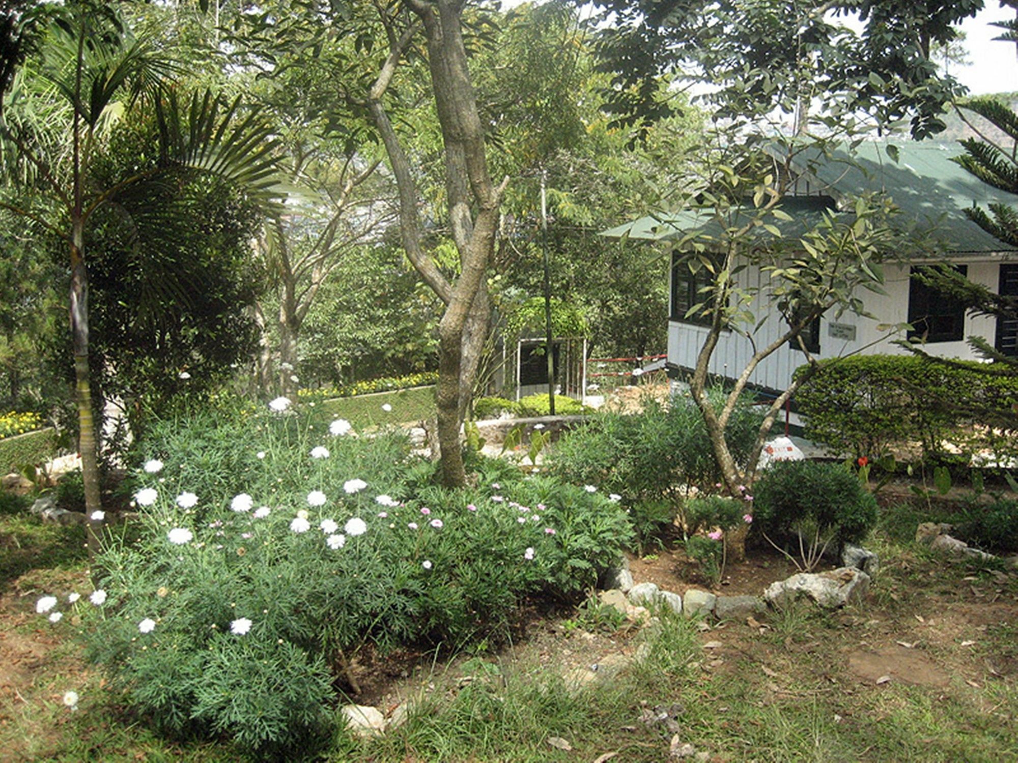 Pine Breeze Cottages Baguio City Zewnętrze zdjęcie
