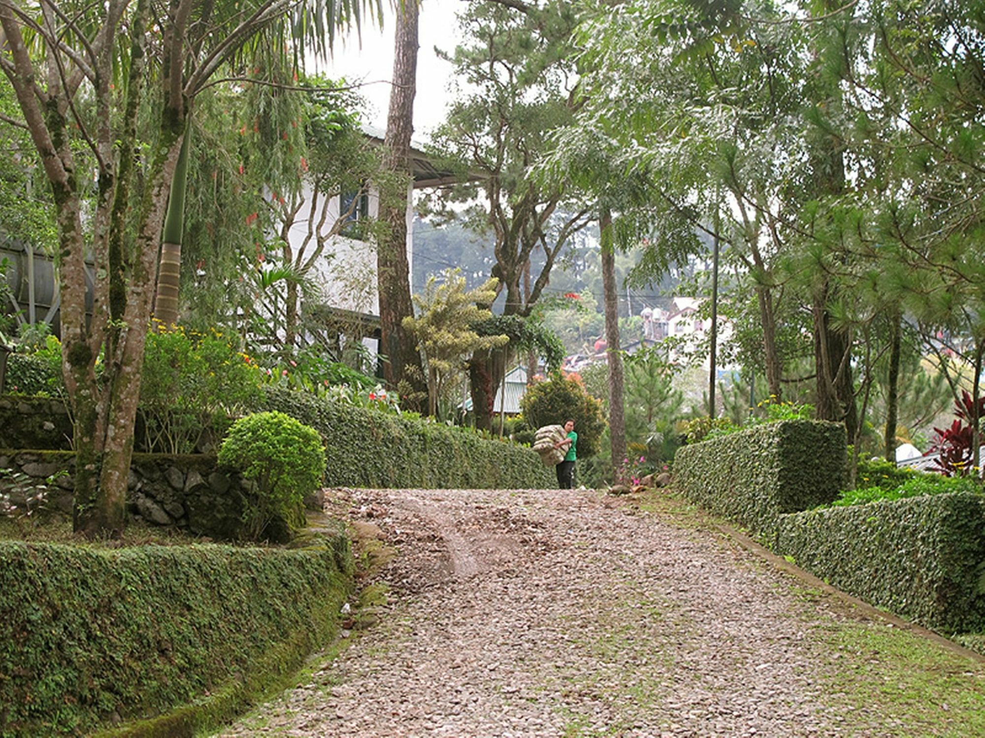 Pine Breeze Cottages Baguio City Zewnętrze zdjęcie